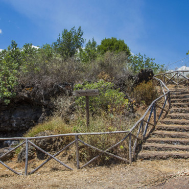 The path
