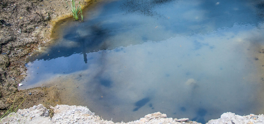 Particolare delle acque sulfuree