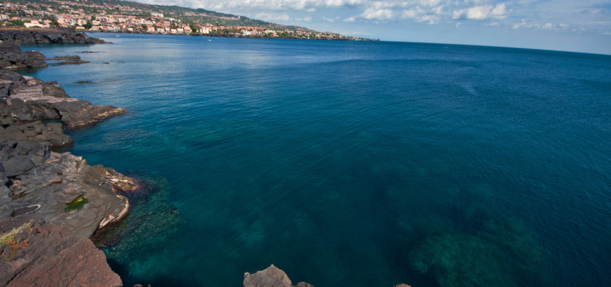 Overlooking the sea