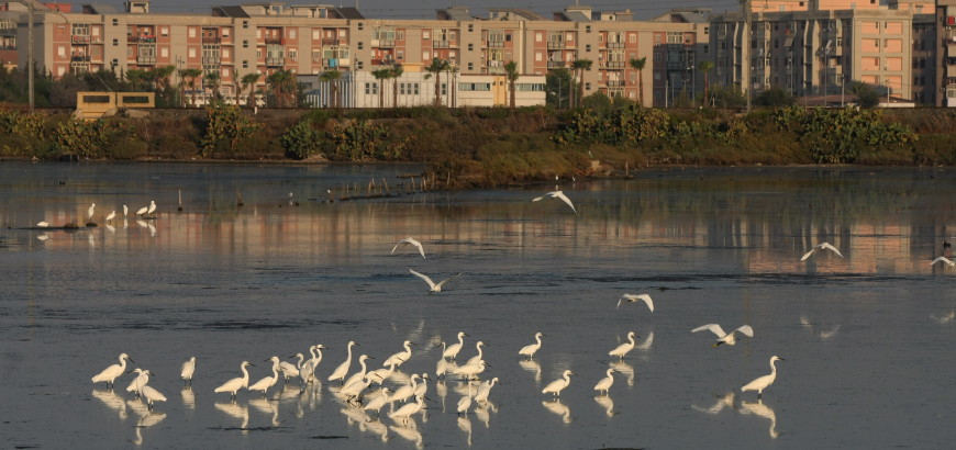 Avifauna della riserva