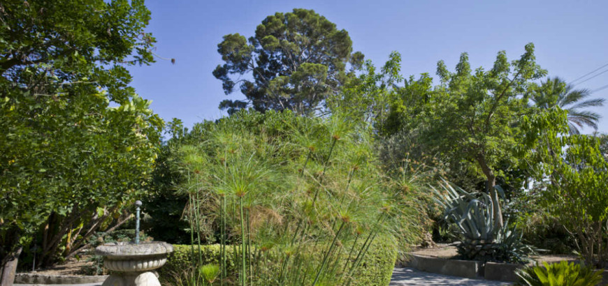 I viali di villa Reimann