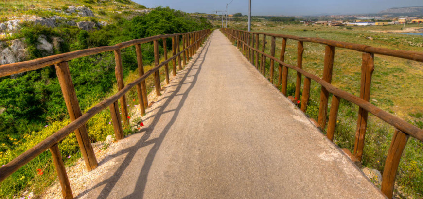 La pista