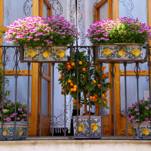 Balcone su via Teatro Greco