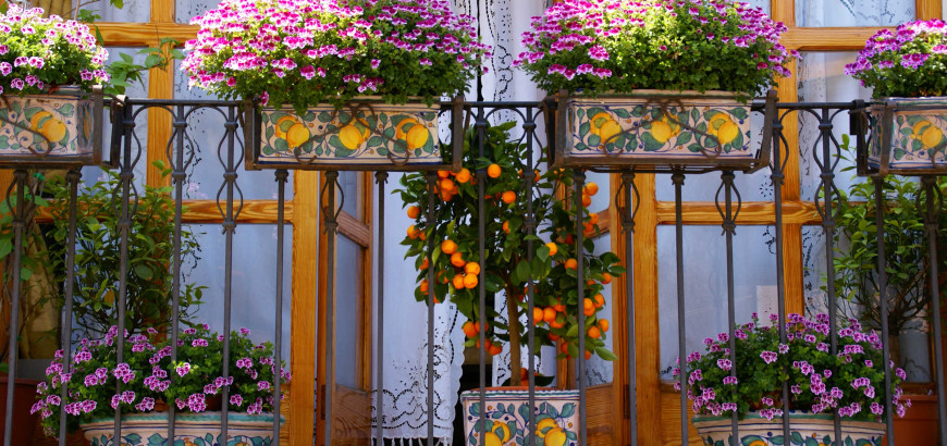 Balcony on the street