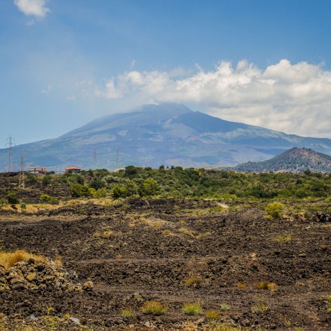 Veduta del campo lavico