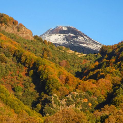 Veduta dell'Etna