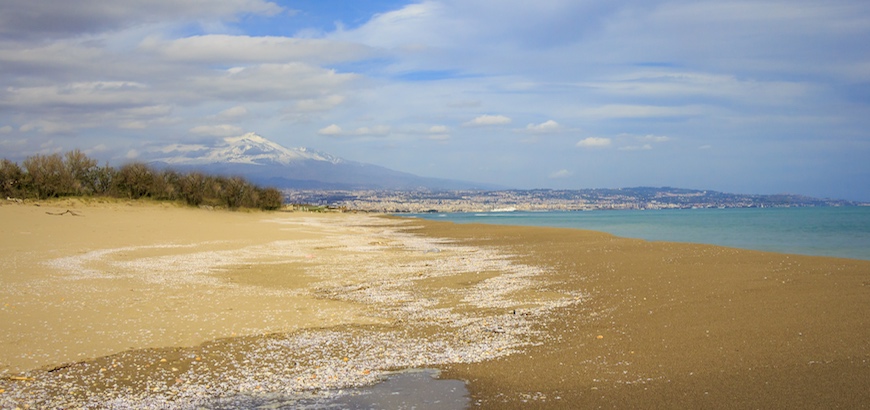 La playa