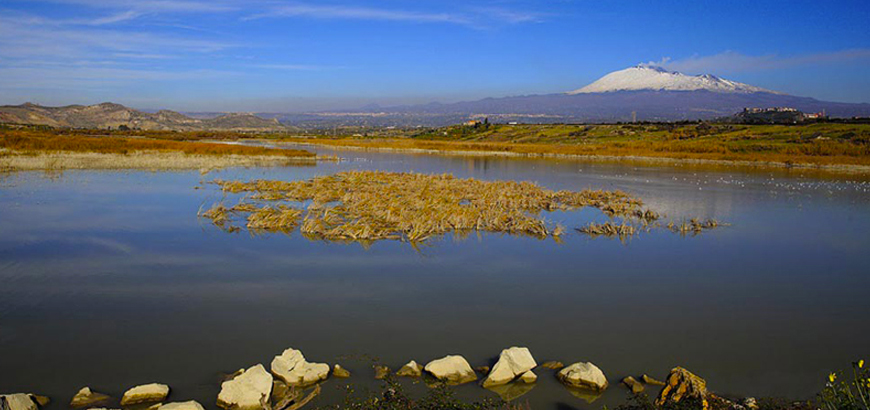 Oasi del Simeto