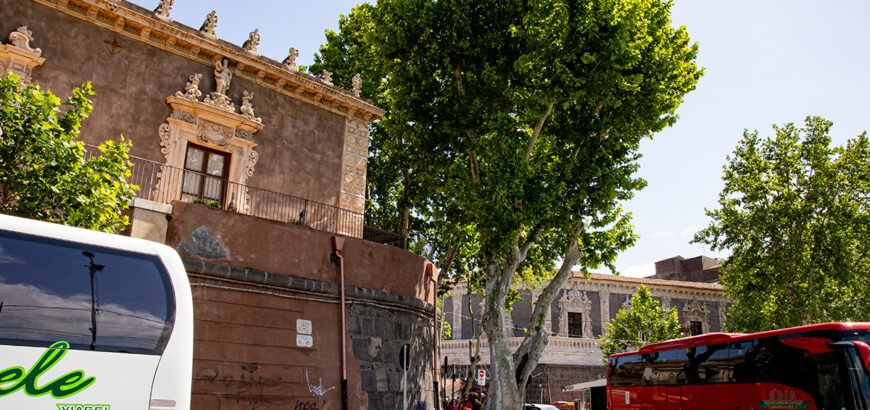 Arvulu Rossu first stage of Catania Rainbow