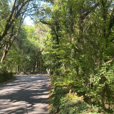 Bosco di Milo