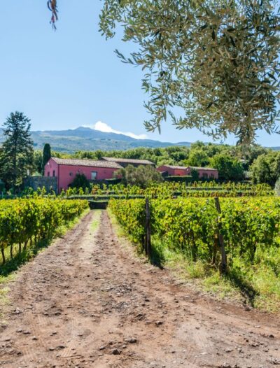 Degustazione a Terrazze dell