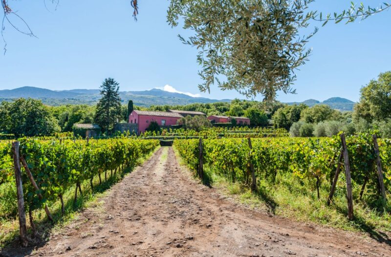 Degustazione a Terrazze dell