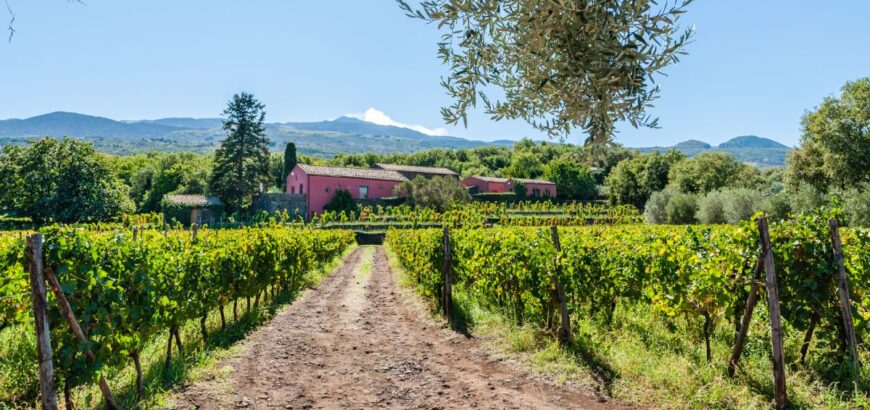 Degustazione a Terrazze dell